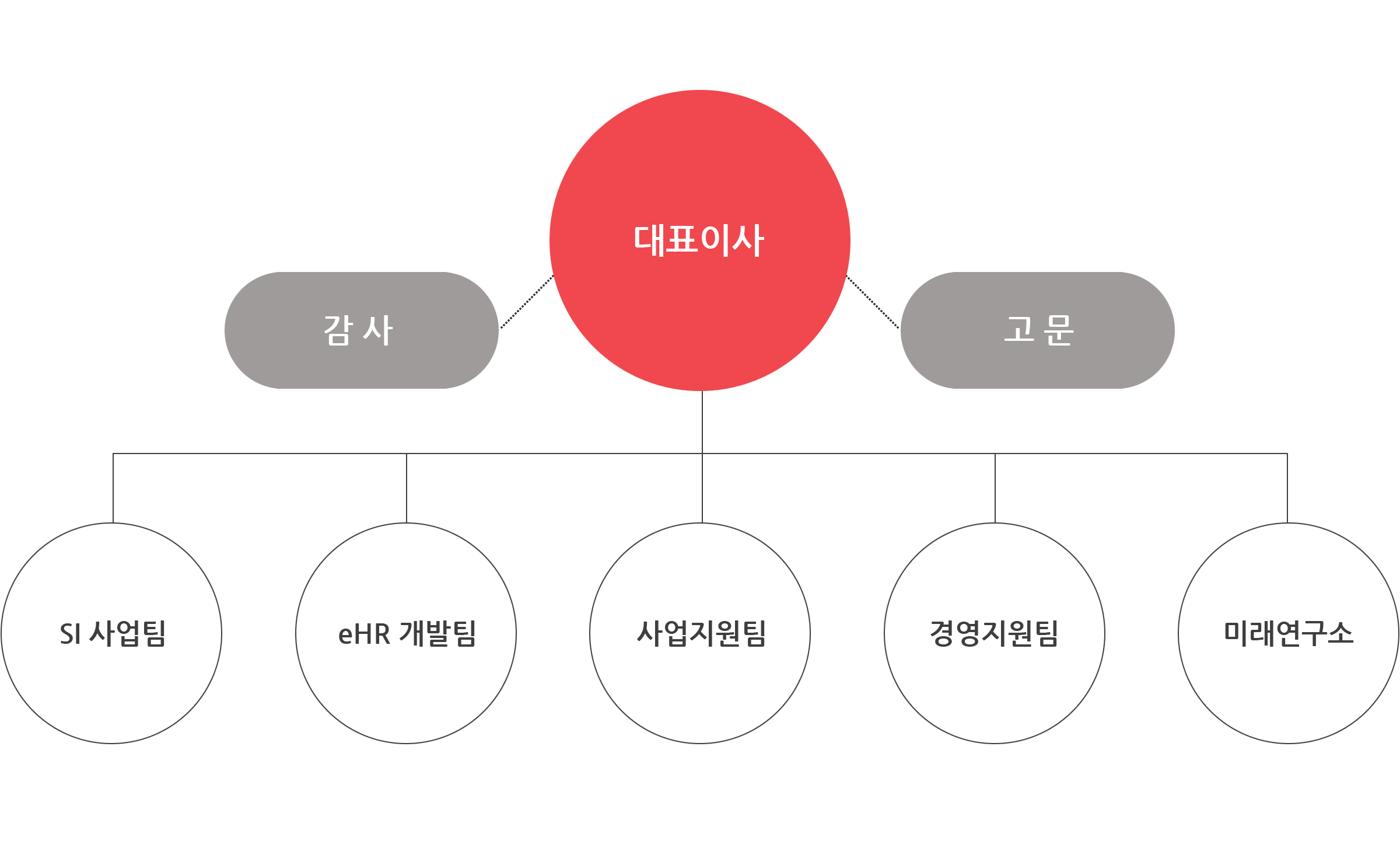 대표이사, 감사, 고문, SI 사업팀, eHR 개발팀, 사업지원팀, 경영지원팀, 미래연구소