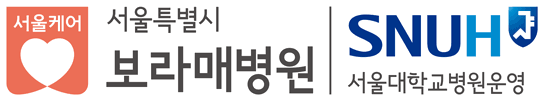 서울보라매병원
